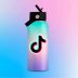 What is the TikTok social network?