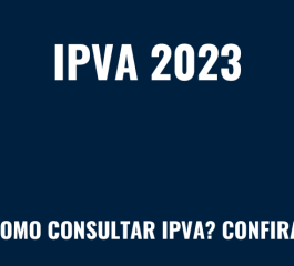 How to consult IPVA debt? Check it step by step