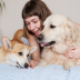Why have a pet: 5 benefits for your life
